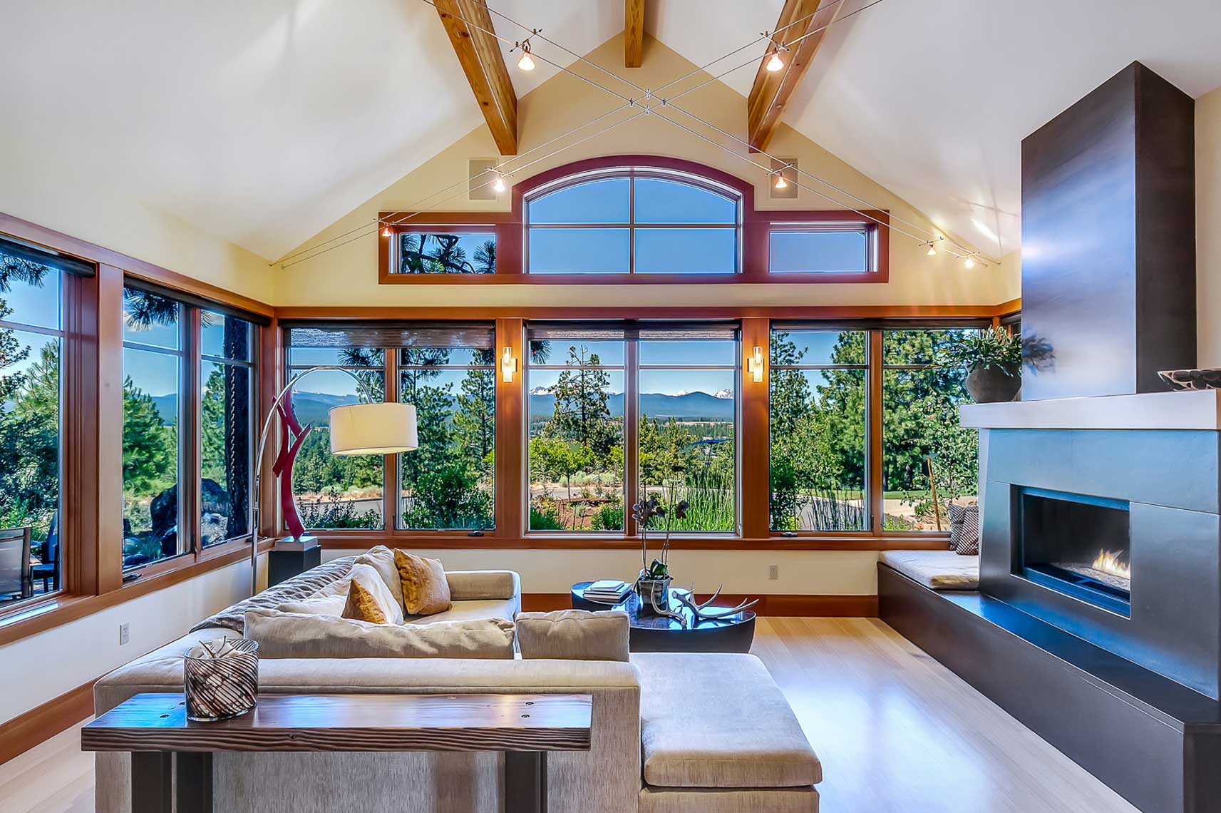 Mountain modern living room
